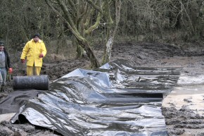Picture of clearance work at Drumore Pond, December 2009, 27KB